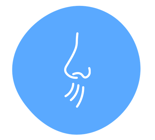 Taste and smell sensory activities